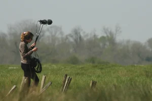 Enregistrer la nature